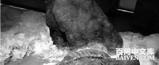 ���ʱ�Ц����Ц����ȫ