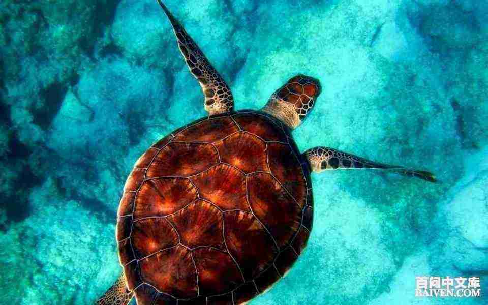 ���ʱ�Ц����Ц����ȫ