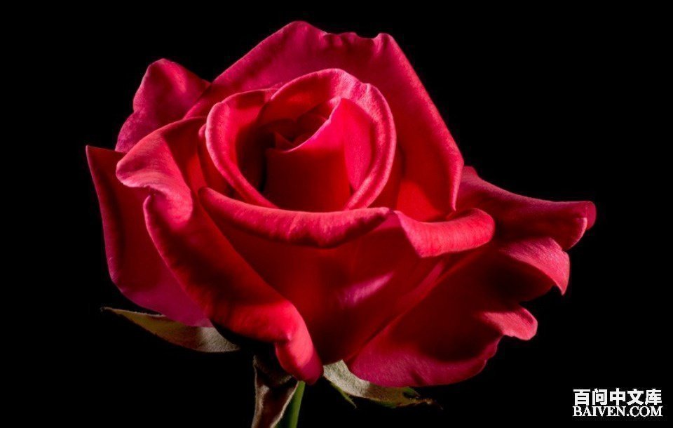 百问爆笑经典笑话大全