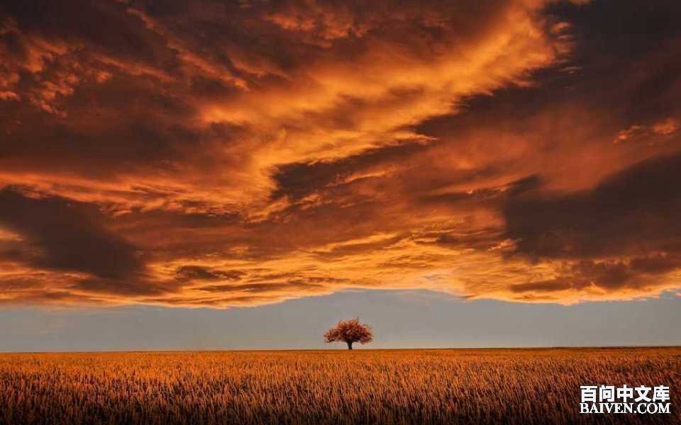 ���ʱ�Ц����Ц����ȫ