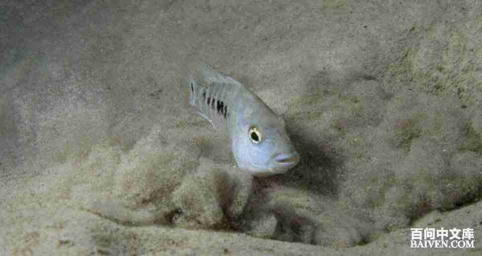 ���ʱ�Ц����Ц����ȫ