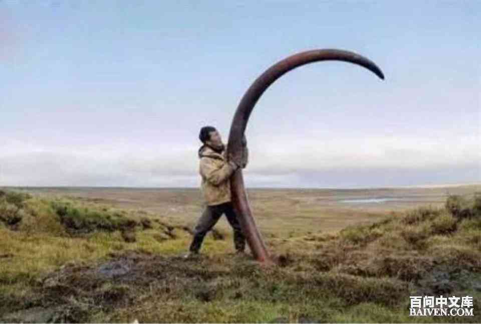 ���ʱ�Ц����Ц����ȫ