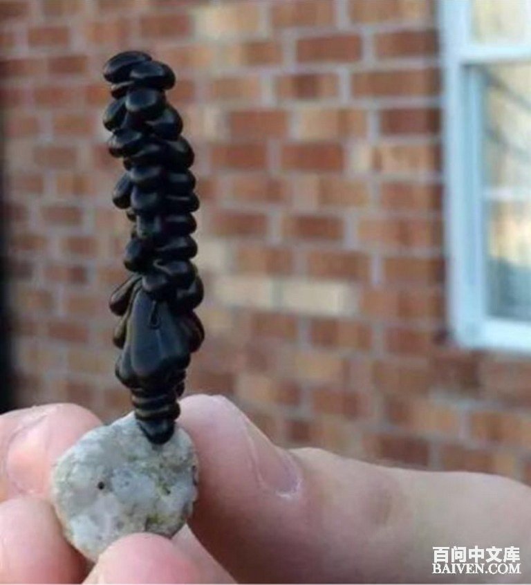 百问爆笑经典笑话大全