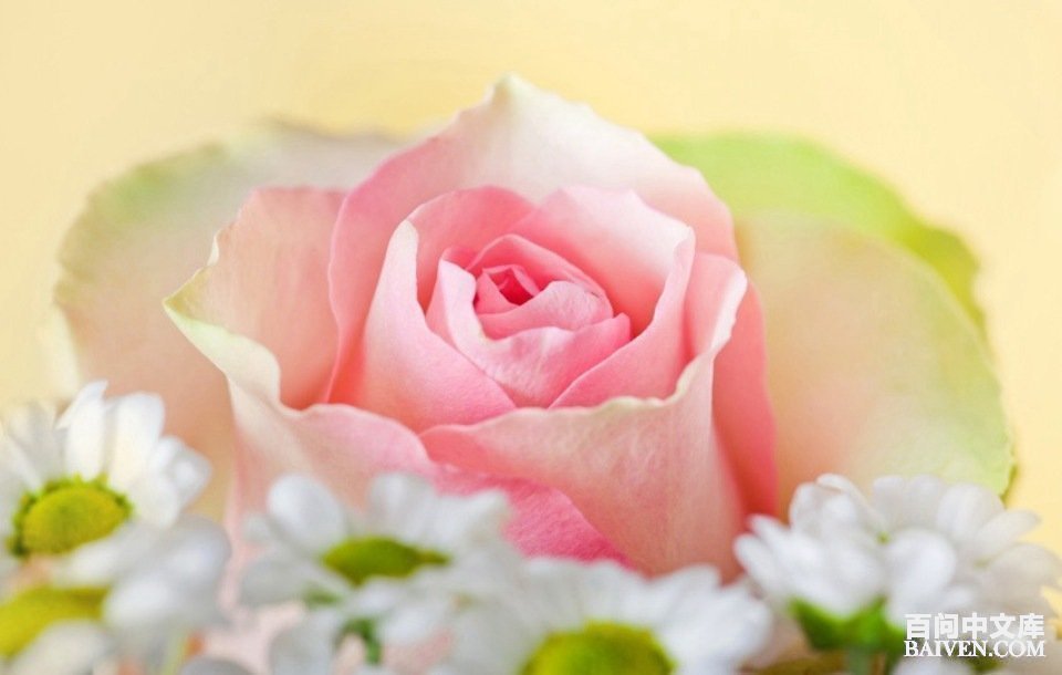 °ÙÎʱ¬Ð¦¾µäЦ»°´óÈ«