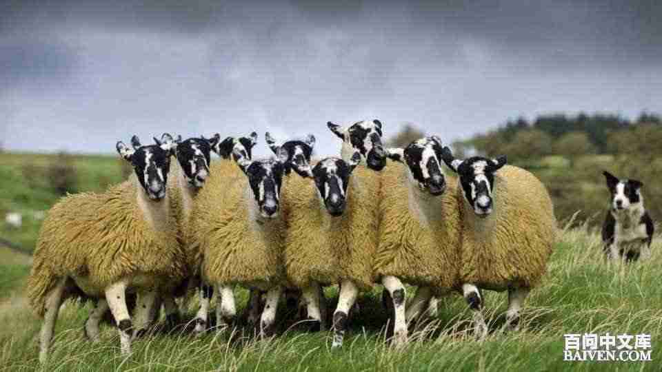 百问爆笑经典笑话大全