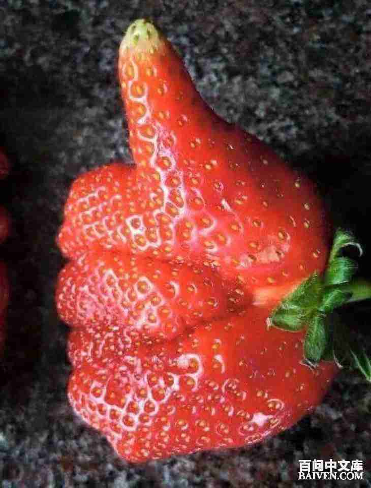 ���ʱ�Ц����Ц����ȫ