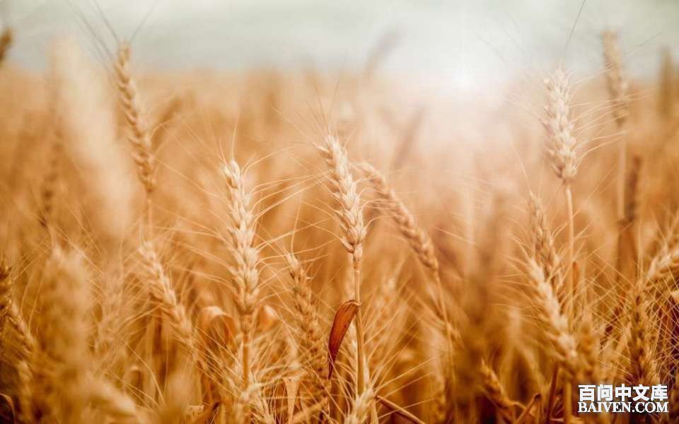 百问爆笑经典笑话大全