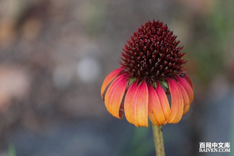 ���ʱ�Ц����Ц����ȫ