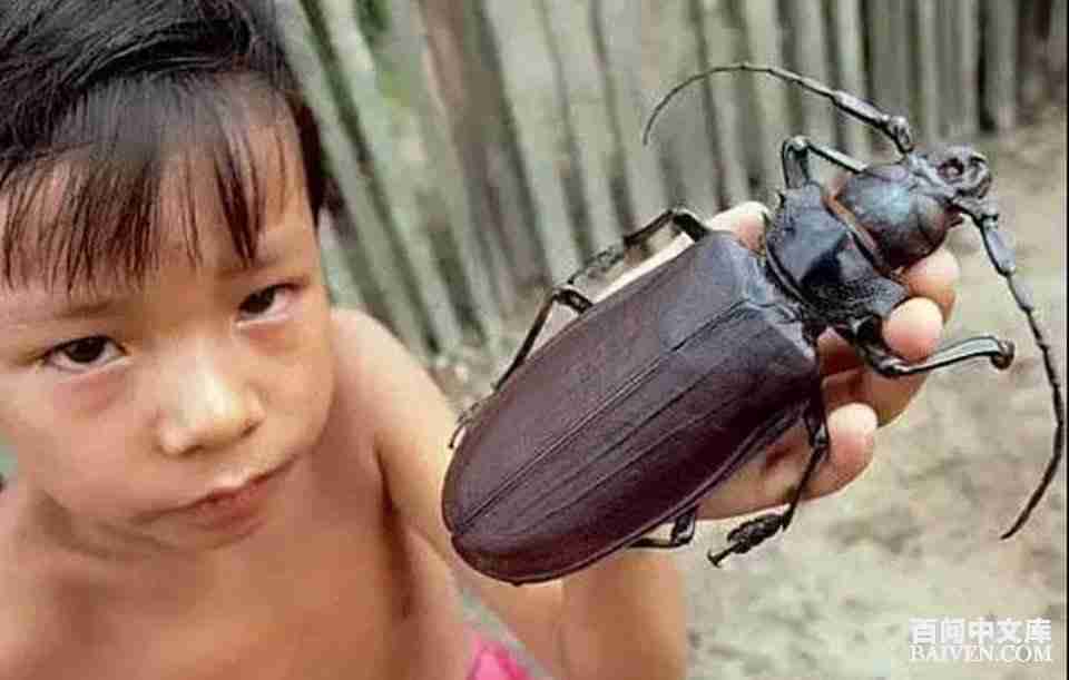 ���ʱ�Ц����Ц����ȫ