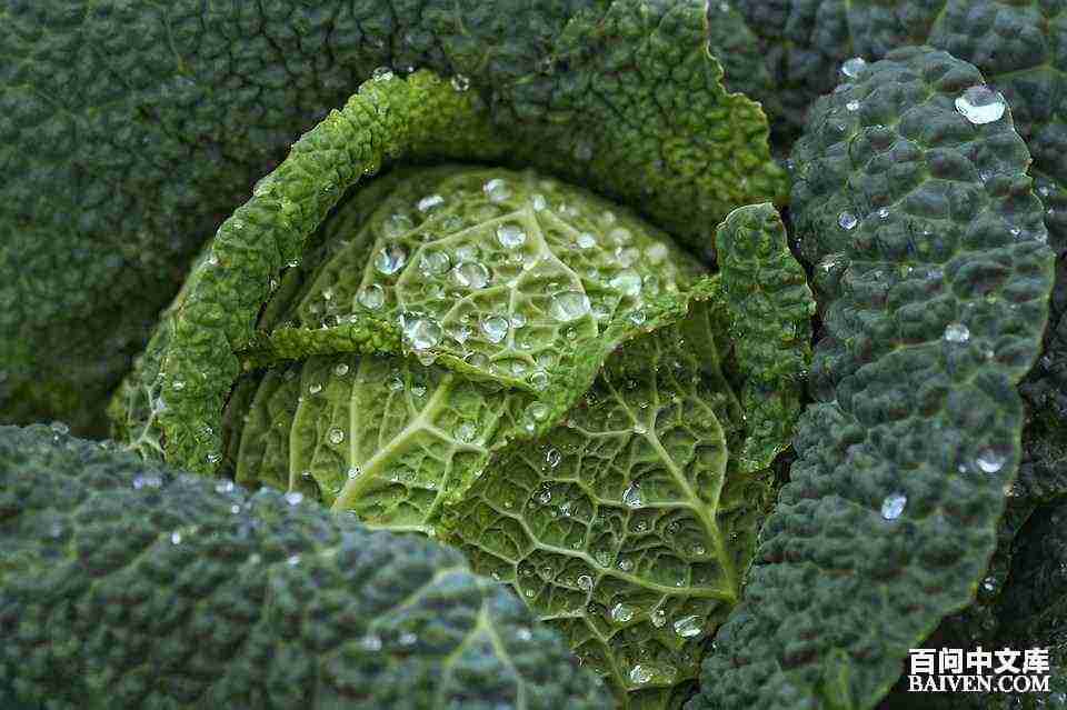 ���ʱ�Ц����Ц����ȫ