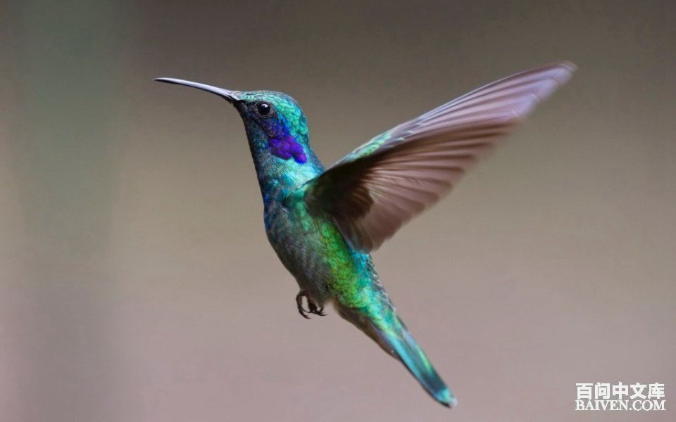 ���ʱ�Ц����Ц����ȫ