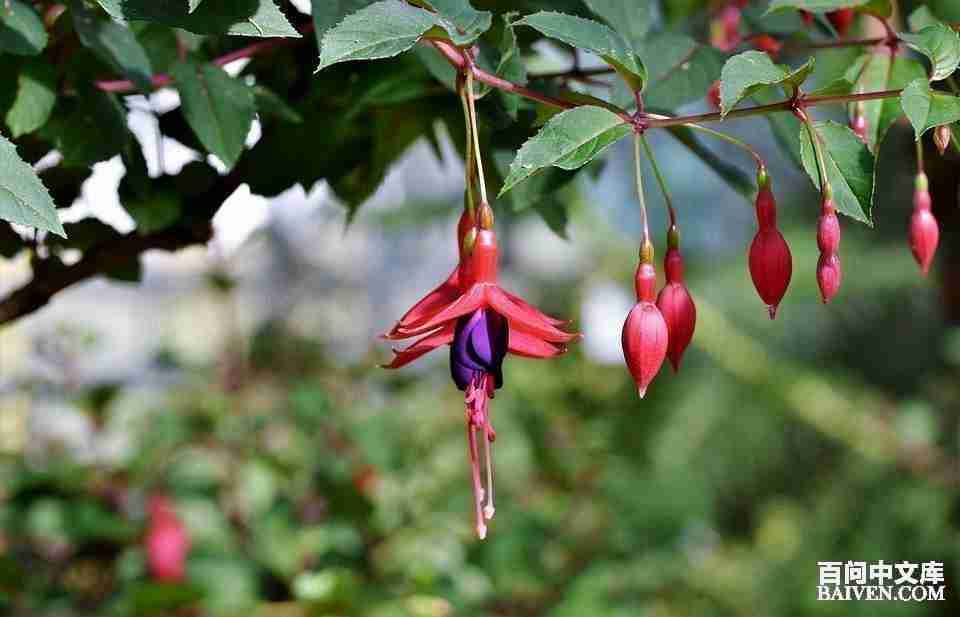 ���ʱ�Ц����Ц����ȫ