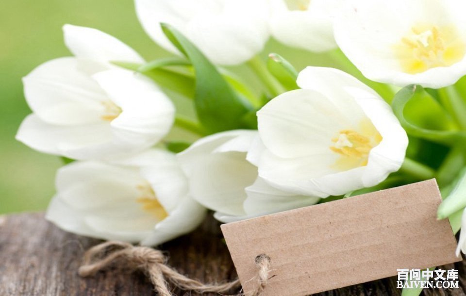 ���ʱ�Ц����Ц����ȫ