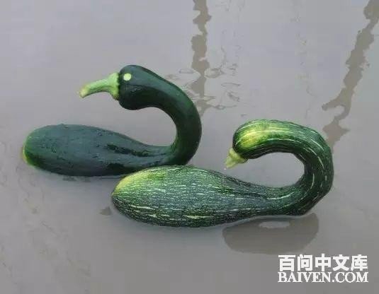 百问爆笑经典笑话大全