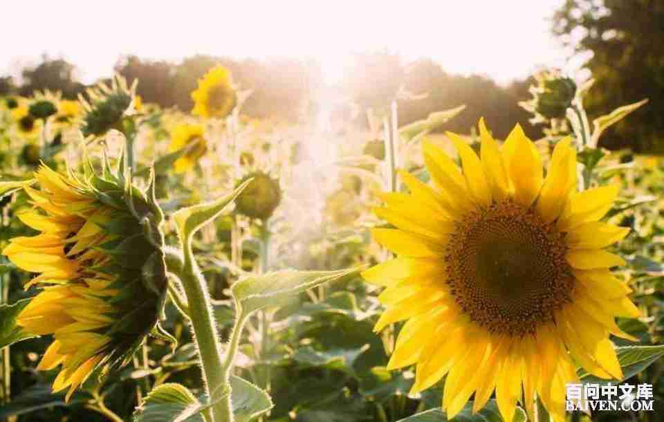 ���ʱ�Ц����Ц����ȫ