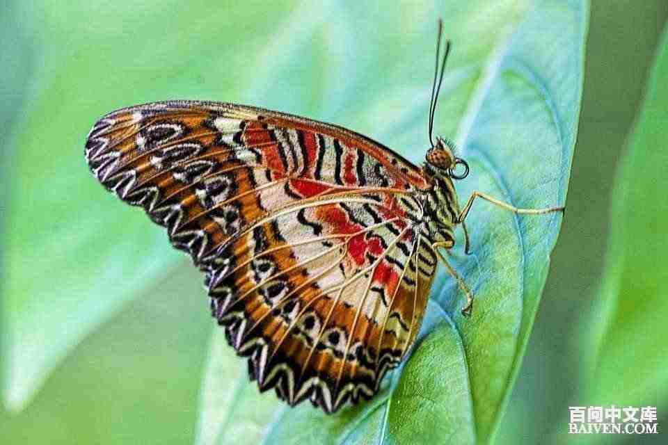 ���ʱ�Ц����Ц����ȫ