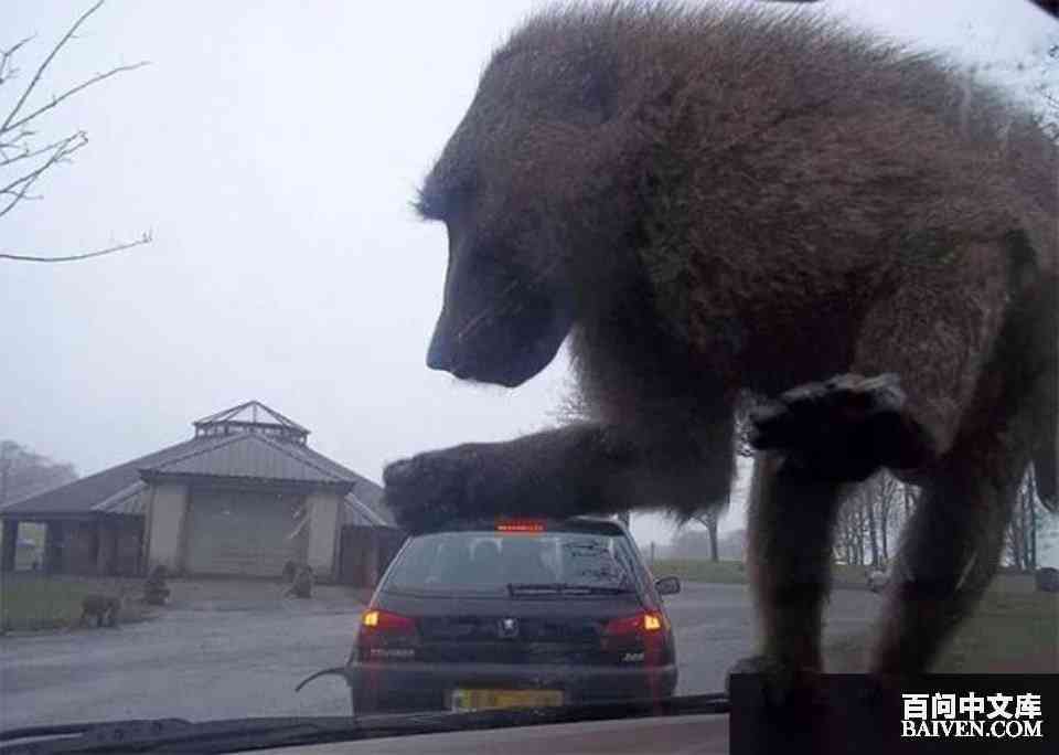 ���ʱ�Ц����Ц����ȫ