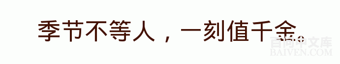 ���ʱ�Ц����Ц����ȫ