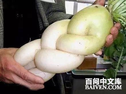 ���ʱ�Ц����Ц����ȫ