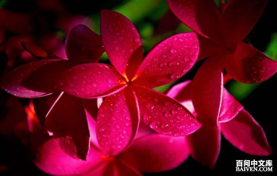 百问爆笑经典笑话大全