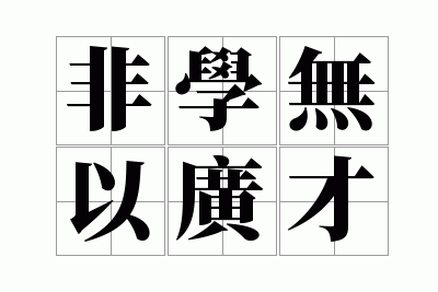 非学无以广才