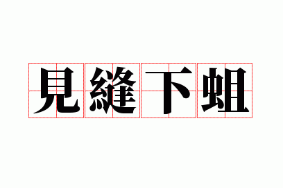 见缝下蛆