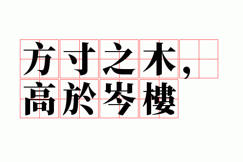 方寸之木,高于岑楼