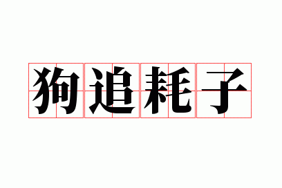 ��׷����