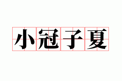 小冠子夏