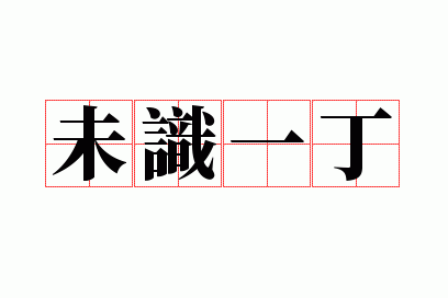 未识一丁