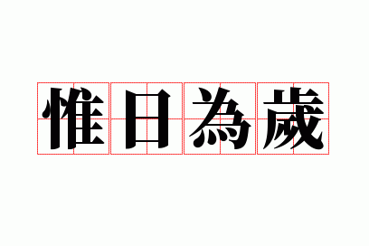惟日为岁