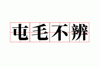 ��ë����