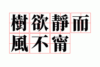 ���������粻��