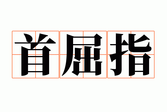 ����ָ