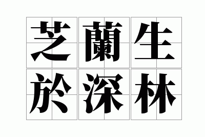 ֥����������