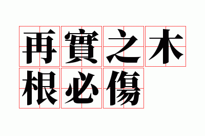 ��ʵ֮ľ������