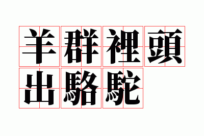 ��Ⱥ��ͷ������