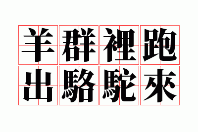 ��Ⱥ���ܳ�������