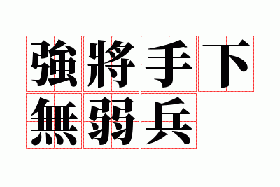 ǿ������������