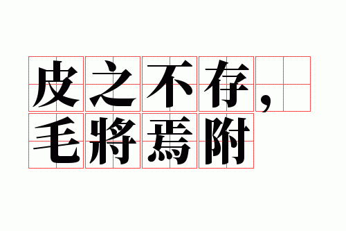 Ƥ֮���棬ë���ɸ�