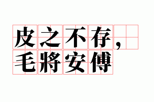 Ƥ֮���棬ë������