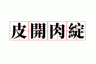 Ƥ������