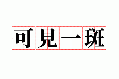 可见一斑