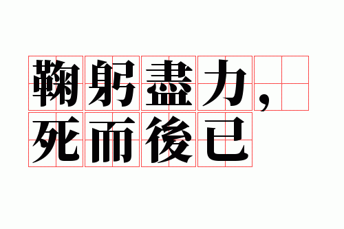 �Ϲ���������������