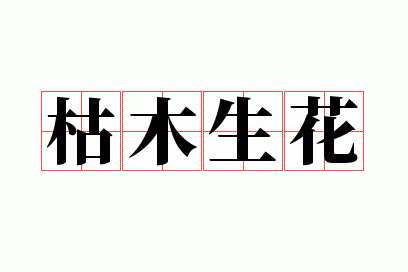 ��ľ����