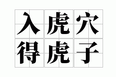 入虎穴得虎子