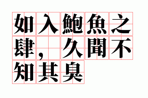 ���뱫��֮�������Ų�֪���