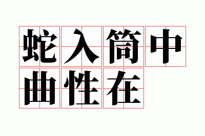 ����Ͳ��������