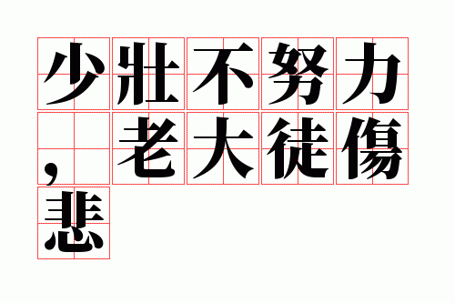 少壮不努力,老大徒伤悲