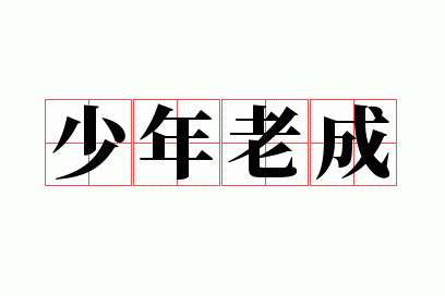 少年老成